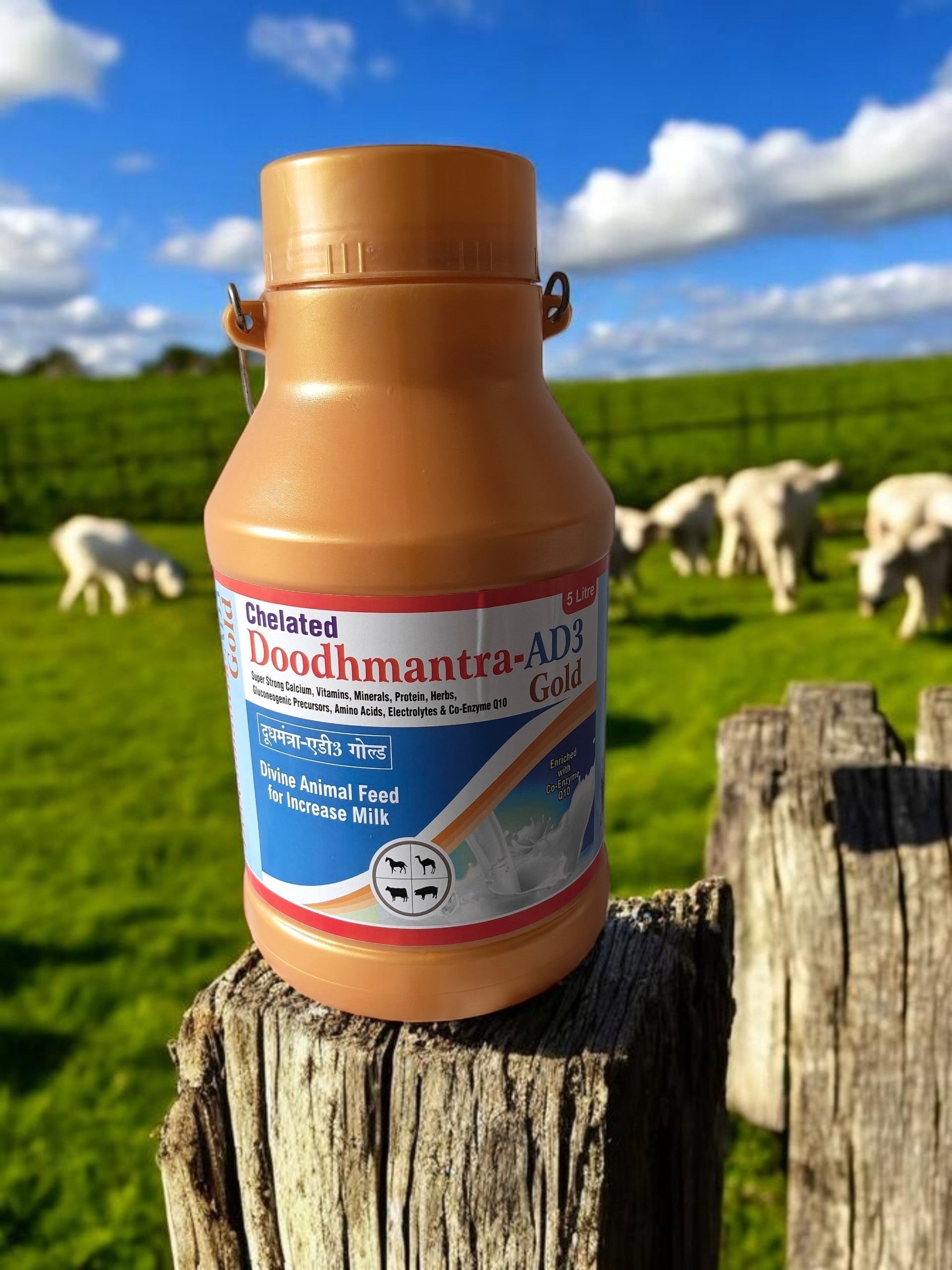 DOODHMANTRA AD3 GOLD